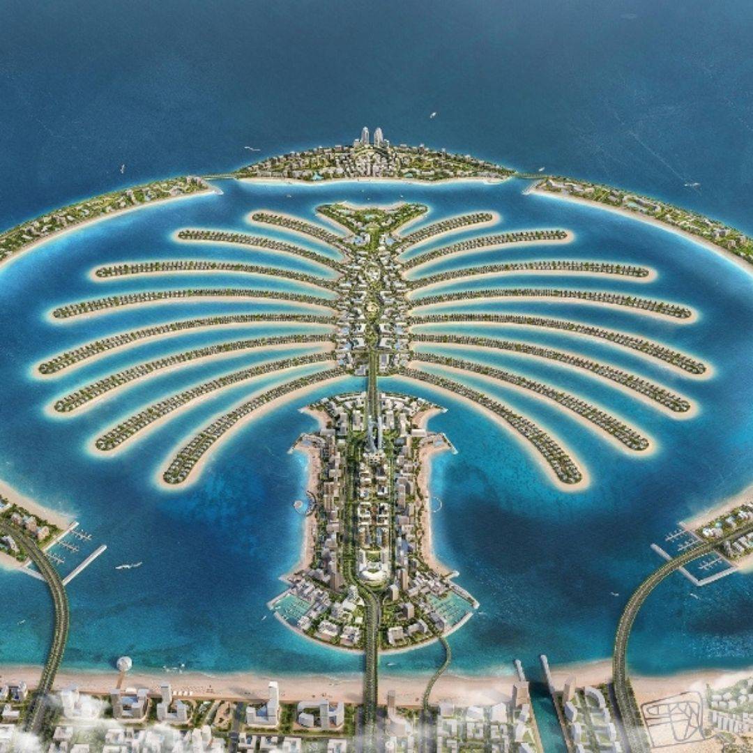 Palm Jabel ALI