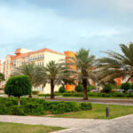 Discovery Gardens